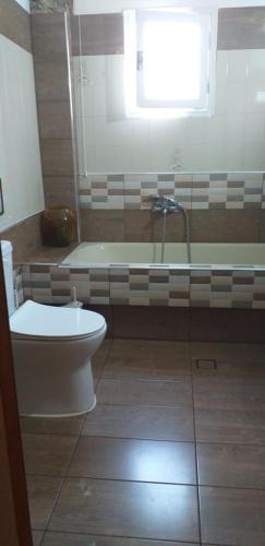 a bathroom with a toilet and a bath tub at Pelion Platanidia seaside house in Platanidia