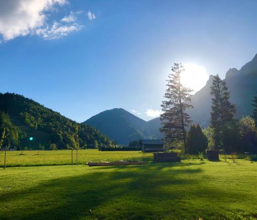 a field with a tree and mountains in the background at Landhaus Mair in Scharnitz