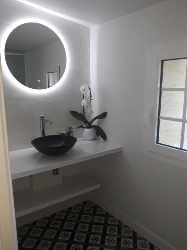 Saint-Louis-de-Montferrand的住宿－DOMAINE DE GUILLEMIN，一间带水槽和镜子的浴室