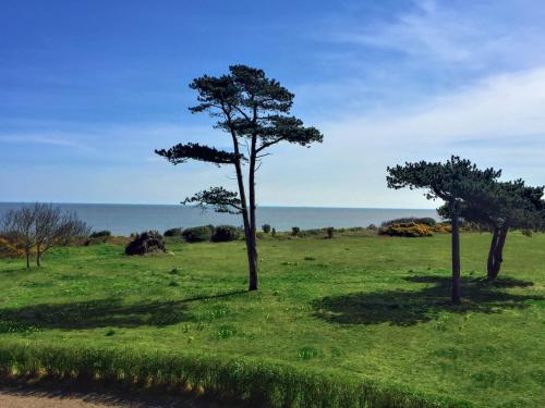 two trees in a field with the ocean in the background at The Dower Lodge in Sizewell