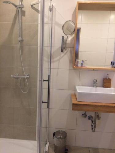 a bathroom with a shower and a sink at Landgasthof Zum goldenen Löwen in Moosbach
