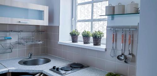 a kitchen with a sink and some plants on a window at Cinnamon villa in Palanga