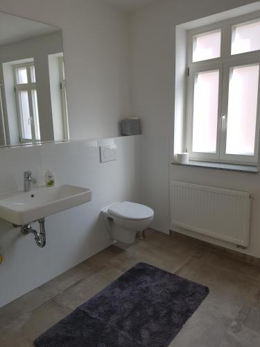 a bathroom with a toilet and a sink and a mirror at Ferienwohnung in Brackenheim