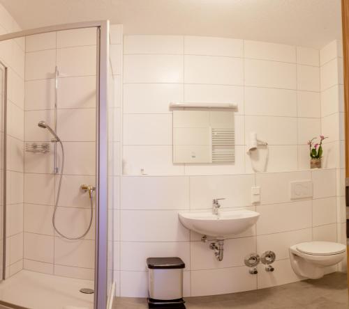 a bathroom with a shower and a sink and a toilet at EulenNest in Laubach