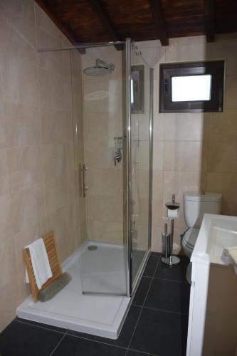a bathroom with a shower and a toilet at Quinta da Boa Ventura in Bragança
