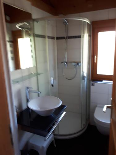 a bathroom with a sink and a shower and a toilet at Ferienhaus Chalet 21 Bayerischer Wald in Stamsried