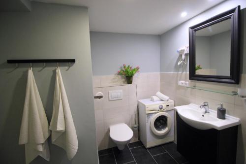 a bathroom with a washing machine and a sink at Apartmány David in Třešť