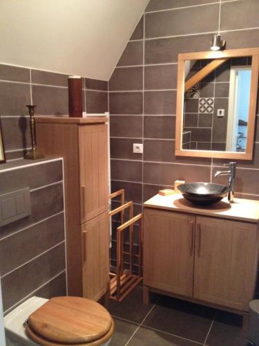 une salle de bain avec toilettes, lavabo et miroir dans l'établissement Les Gîtes du Chateau de la Morinière, à Beaupréau