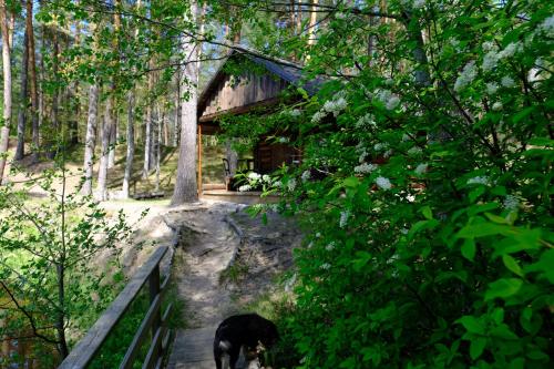 Zahrada ubytování Kallaste Talu- Turismitalu & Holiday Resort