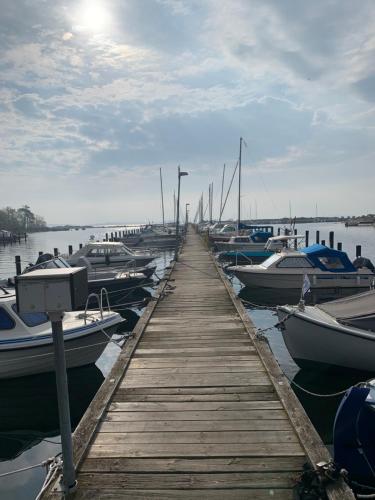 uma doca com vários barcos ancorados na água em Sailboat Chanel em Karlshamn