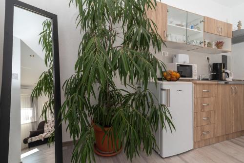 Fotografia z galérie ubytovania Apartments Bruna Trogir v Trogiri