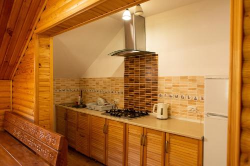 Virtuvė arba virtuvėlė apgyvendinimo įstaigoje Kamyanka