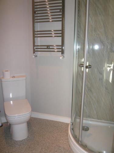 a bathroom with a toilet and a shower at Pickmere Country House in Pickmere