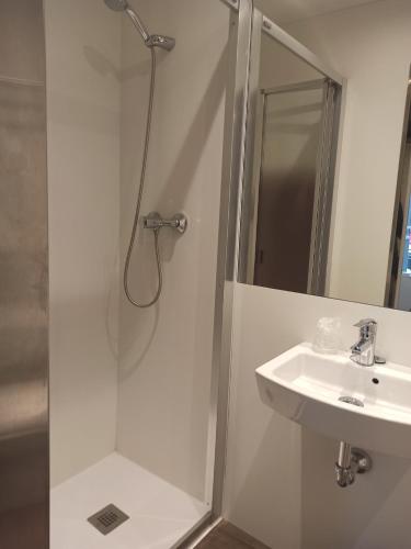 a bathroom with a shower and a sink at Bearan Bar & Rooms in Pamplona