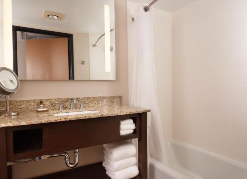a bathroom with a sink and a mirror and a tub at Hyatt Regency Green Bay in Green Bay