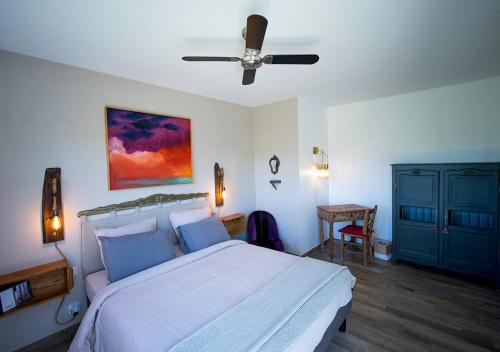 1 dormitorio con 1 cama y ventilador de techo en Maison d'hôtes Thym et Chocolat en Générargues