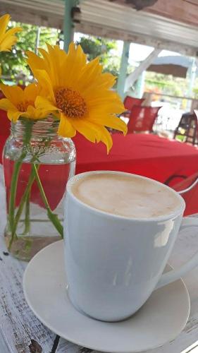 a cup of coffee and a vase with a yellow flower at La Jamaca - An Island Vibe Hotel in La Parguera