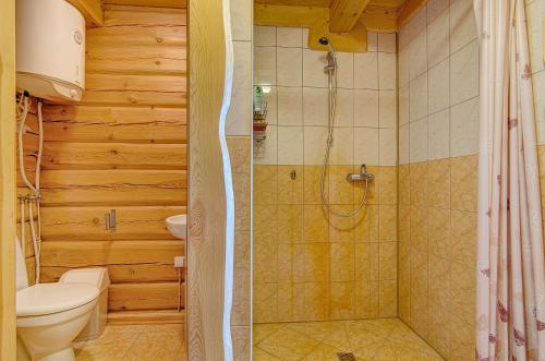 a bathroom with a shower and a toilet in a room at Sauna with the Private Lake Access in Molėtai