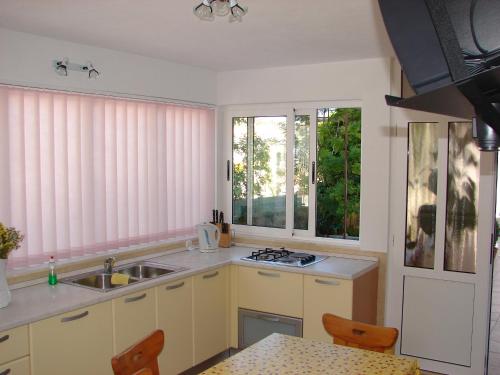 a kitchen with a sink and a counter top at Apartments Curin in Hvar