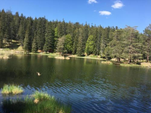 Paisaje cerca de este apartamento