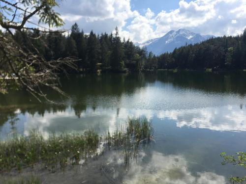 Paisaje cerca de este apartamento