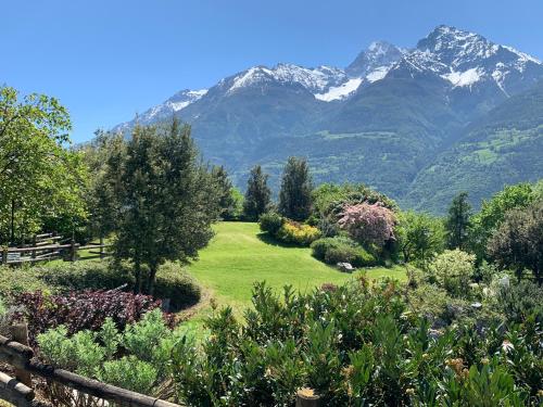 a garden with mountains in the background at Hotel Milleluci in Aosta
