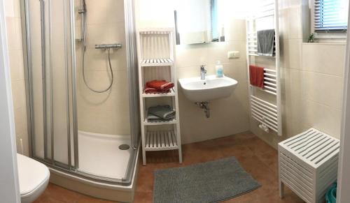 a bathroom with a shower and a sink at Haus Vogelgesang Pirna in Pirna