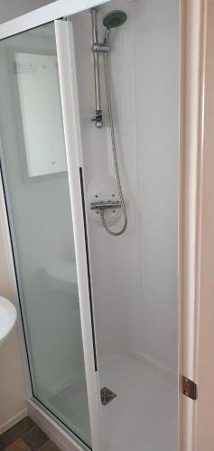 eine Duschkabine mit einer Glastür mit einem Duschkopf in der Unterkunft KSR Hot Tub Holiday Home at Tattershall Lakes in Tattershall