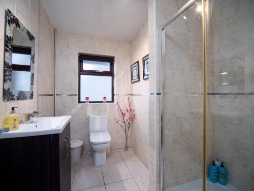 a bathroom with a shower and a toilet and a sink at A fourteen in Kilkeel