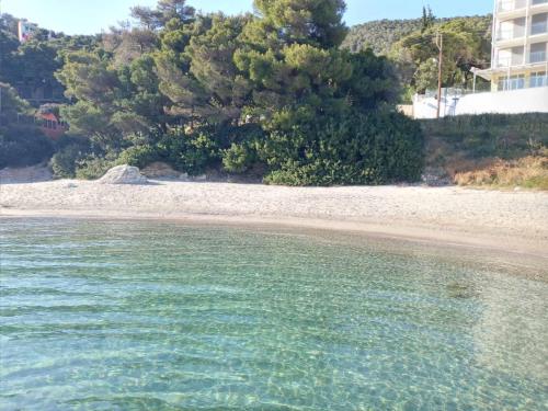 a view of a beach with trees and the water at Zontanos Studios & Apartments in Poros