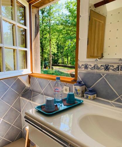 - un lavabo avec une bouteille d'eau et un miroir dans l'établissement Les Vieux Guays, à Cerdon