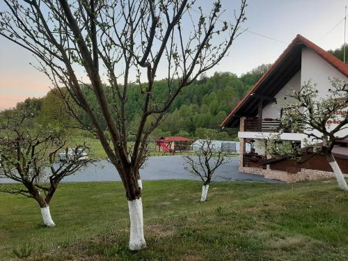 une maison avec des arbres en face d'un lac dans l'établissement Pensiunea Marceluca, à Hodoşa