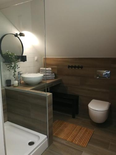 a bathroom with a sink and a toilet and a mirror at Studio apartman HANA in Drežnik Grad