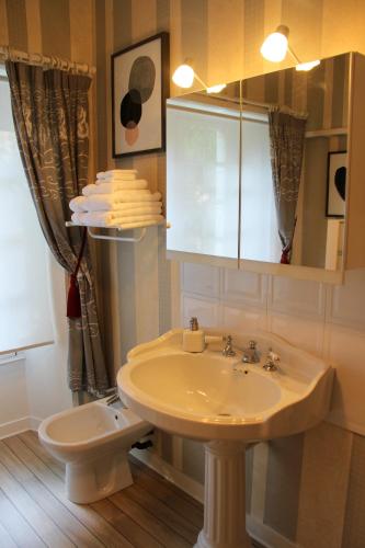 une salle de bain avec un lavabo et des toilettes dans l'établissement Manoir de Beauregard - Cunault, à Trèves-Cunault