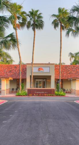 an empty street in front of a building with palm trees at The Bungalows on Shary in McAllen