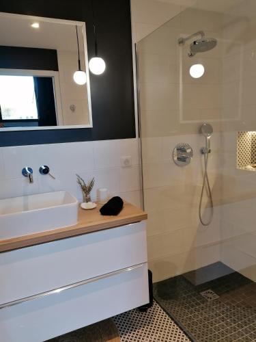 une salle de bain avec un lavabo et une douche dans l'établissement Villa Sainte Marie, à Narbonne