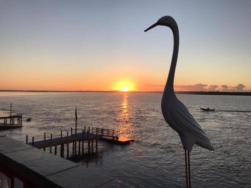 a bird standing in the water near a dock with the sunset at Hotel Marazul in Cananéia