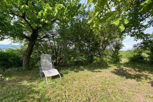 una silla sentada en la hierba bajo un árbol en Présház a hegytetőn, en Pécsely