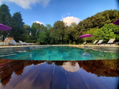 a swimming pool with a purple umbrella and chairs and trees at Chateau de Raissac in Béziers