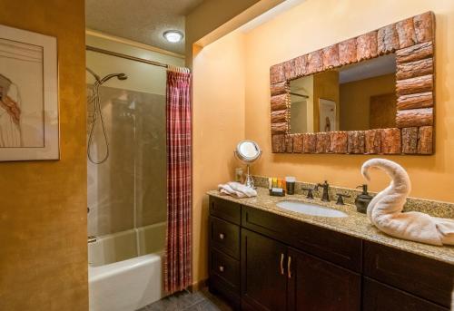 une salle de bain avec un lavabo, une douche et un miroir dans l'établissement Cedar Lower Condominium 2 Bedroom condo, à Estes Park