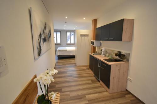 um quarto com uma cozinha e uma sala de estar em Ferienapartments Volkach em Volkach