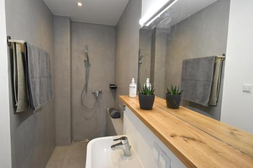 a bathroom with a sink and a shower at Ferienapartments Volkach in Volkach