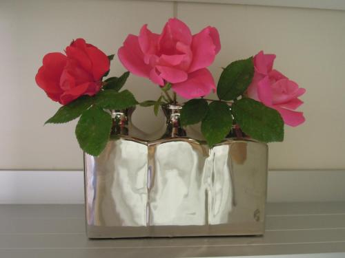 Stella Maris Appartement