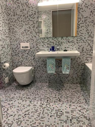 チューリッヒにあるLuxury Penthouse Zurichの洗面台とトイレ付きのバスルーム
