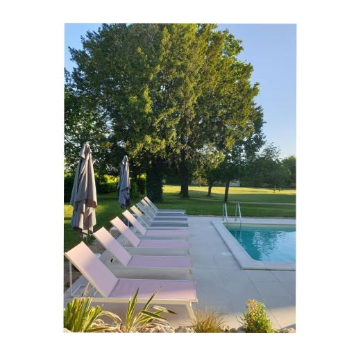 - une rangée de chaises longues à côté de la piscine dans l'établissement L'Olivier, à Monts-sur-Guesnes