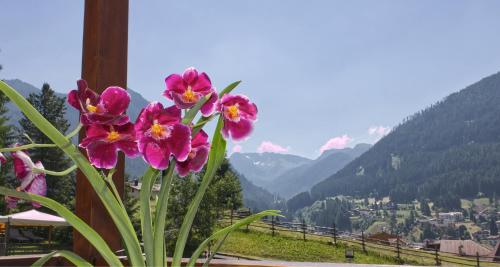 a vase filled with pink flowers on top of a mountain at Hotel Patrizia Dolomites Glamour in Moena