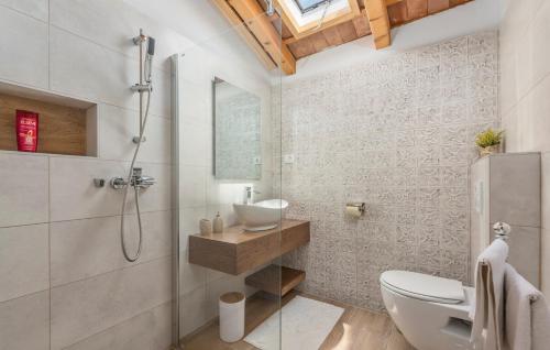 a bathroom with a shower and a toilet and a sink at Beautiful Stone House - Villa Parentium with Private Pool in Dračevac