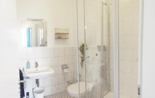 a bathroom with a shower and a toilet and a sink at Römerburg Apartments Burgstraße in Boppard
