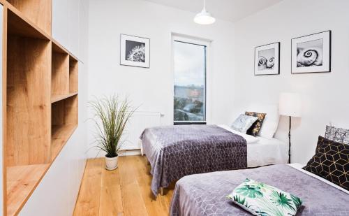 a bedroom with two beds and a window at Apartamenty Homely Place 5 - Parking in Poznań