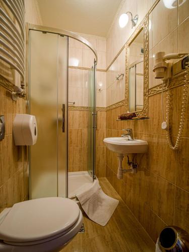 a bathroom with a shower and a toilet and a sink at Pensjonat Zbójecki Dwór - ATRAKCYJNY PAKIET ŚWIĄTECZNY - blisko basenów termalnych i szlaków górskich in Bukowina Tatrzańska